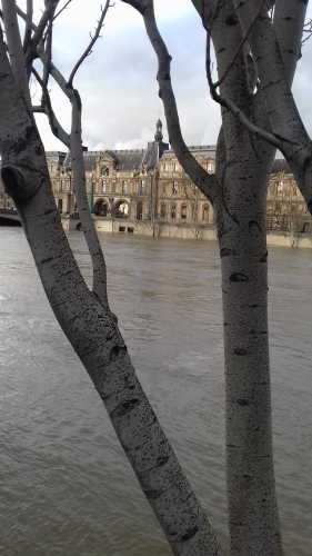 inondation,seine,paris,musées